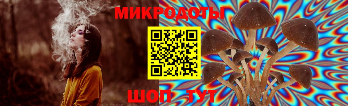 Псилоцибиновые грибы MAGIC MUSHROOMS  наркошоп  Хабаровск  Вход с VPN 